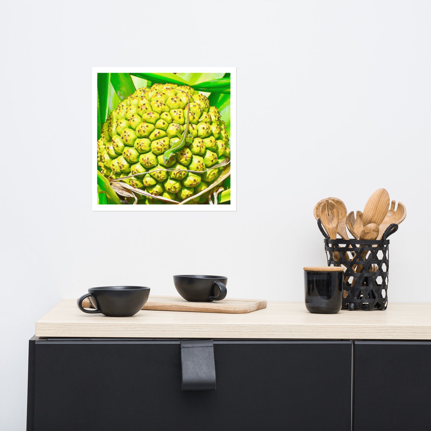 A Green Anole blending on the fruit of the Hala tree, near Waimea Falls, Kauai, poster